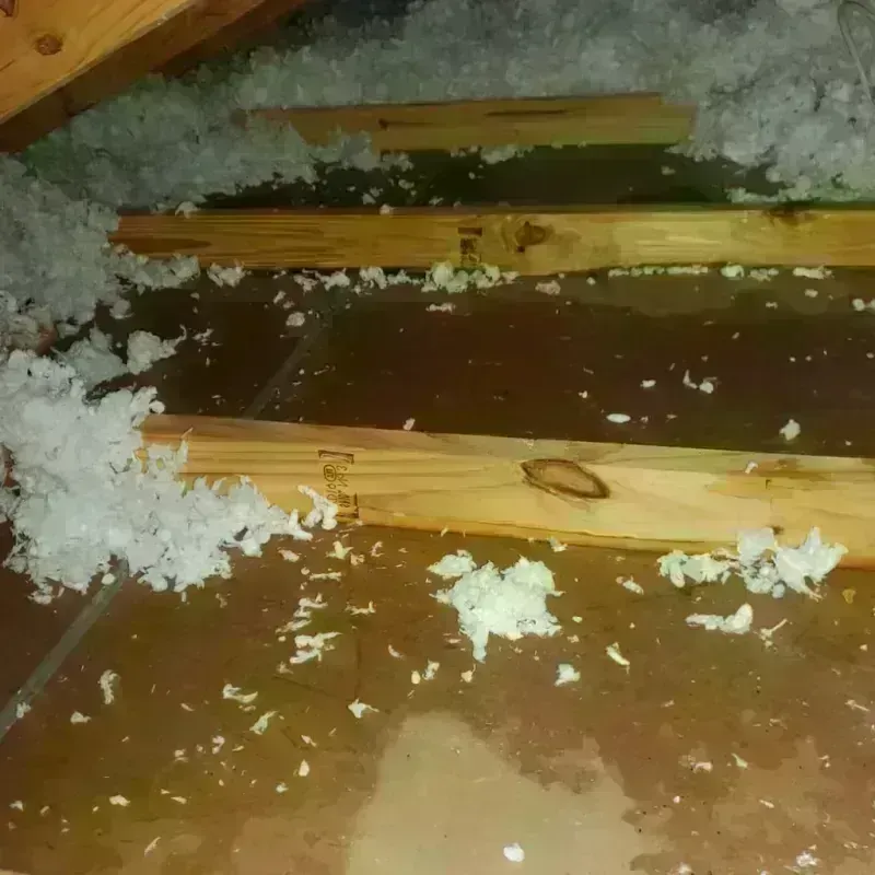 Attic Water Damage in Aleutians West Census Area, AK