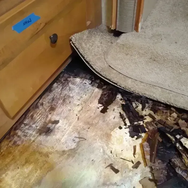 Wood Floor Water Damage in Aleutians West Census Area, AK